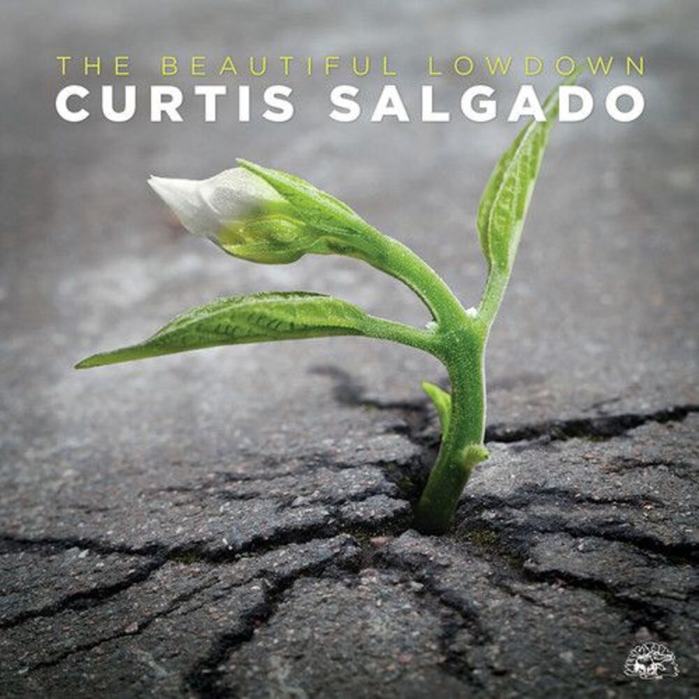Curtis Salgado - The Beautiful Lowdown  CD